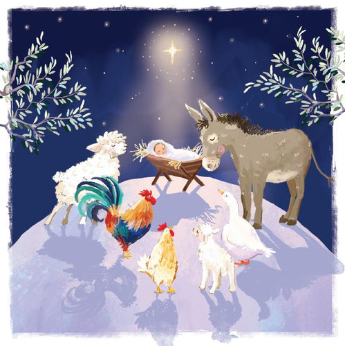 'Animal Nativity' Christmas Cards