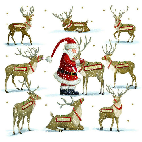 'Santa Feeding the Reindeer' Christmas Cards