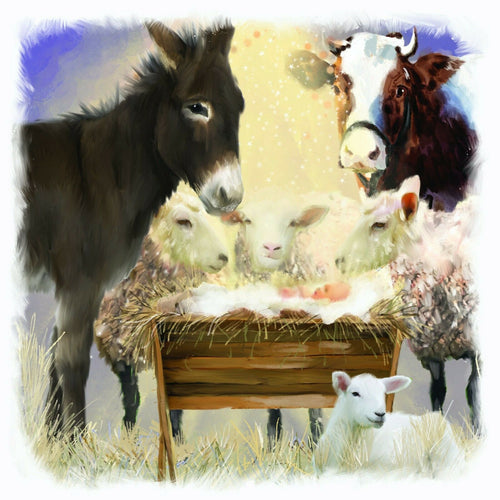 'The Stable' Christmas Cards